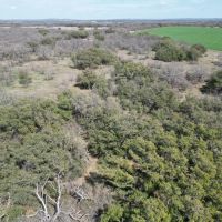 New Listing 58.5 - Acres Brown County images 5