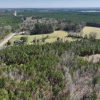 13.64 acres of Recreational Investment Property For Sale in Northampton County NC images 5