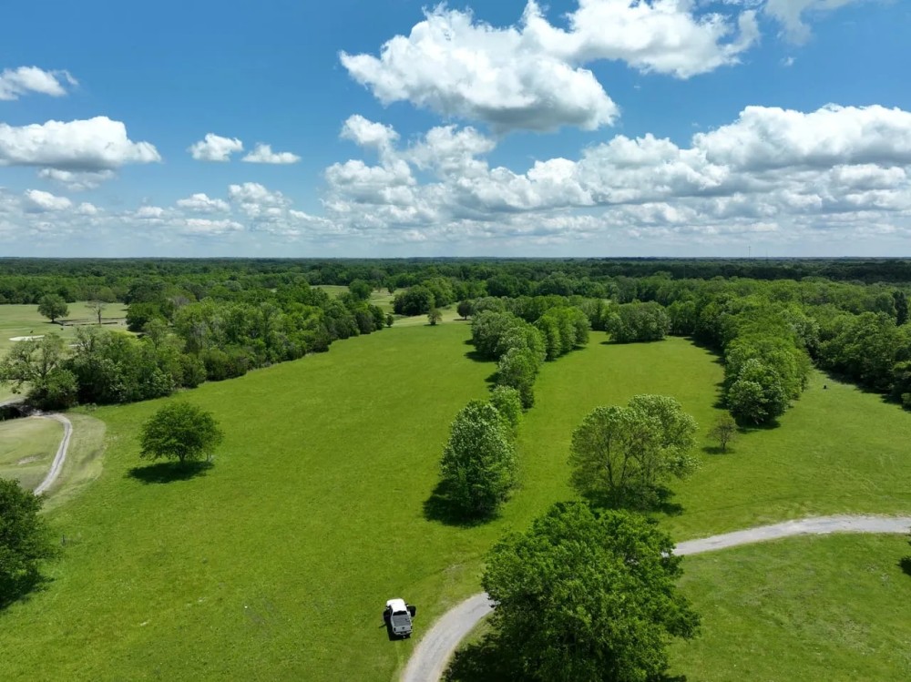 Stunning 20 Acres in Pike Road featured image