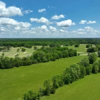 Stunning 20 Acres in Pike Road images 2