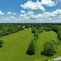 Stunning 20 Acres in Pike Road images 3