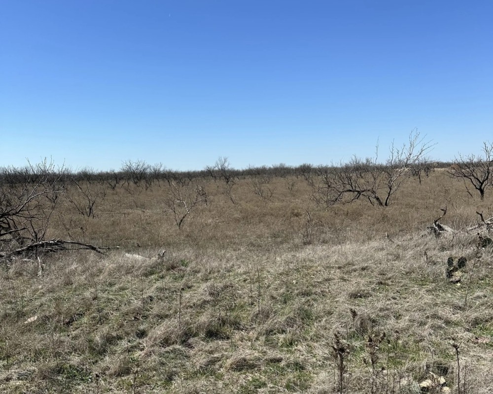 New Listing 10.5 Acres Tract 20 Shackelford County featured image