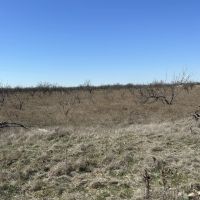 New Listing 10.5 Acres Tract 20 Shackelford County