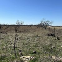 New Listing 10.5 Acres Tract 20 Shackelford County images 2