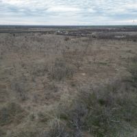 New Listing 10.5 Acres Tract 20 Shackelford County images 3