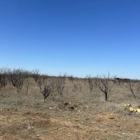 New Listing 10.5 Acres Tract 20 Shackelford County images 5