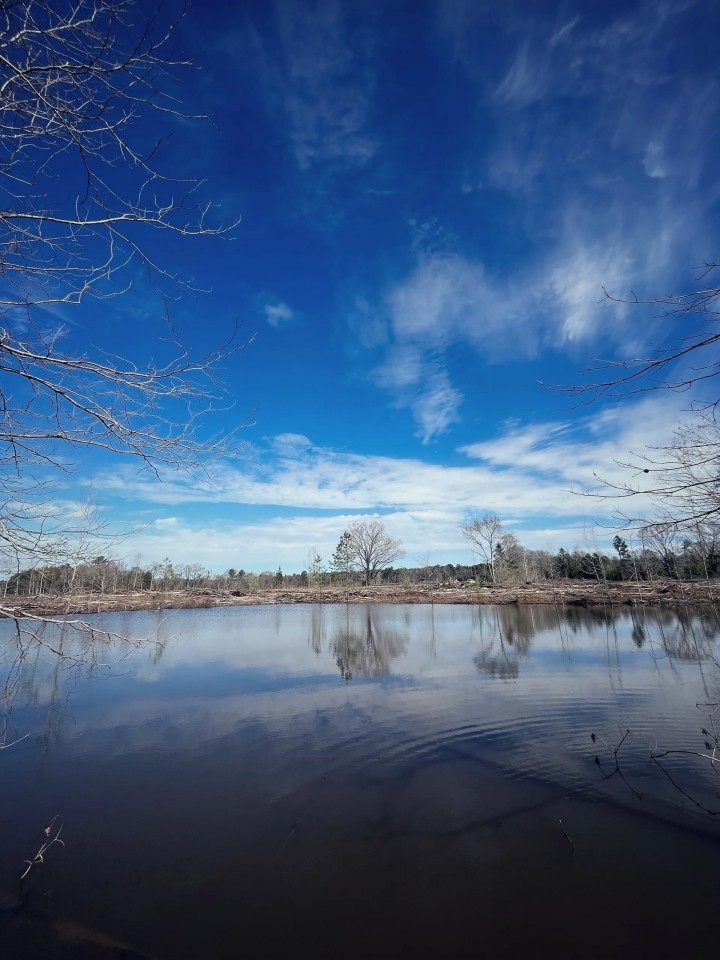 72.43 Acres in Crystal Springs in Copiah County MS featured image