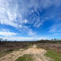 72.43 Acres in Crystal Springs in Copiah County MS images 2