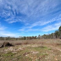 72.43 Acres in Crystal Springs in Copiah County MS images 3