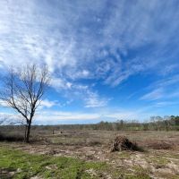 72.43 Acres in Crystal Springs in Copiah County MS images 4