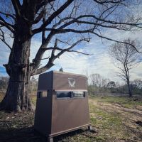 72.43 Acres in Crystal Springs in Copiah County MS images 5