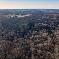 60 Acre Missouri Hunting Property for Sale Knox County images 5