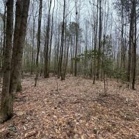 Lamar County Properties 125 Acres