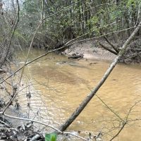 Lamar County Properties 125 Acres images 4