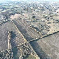 45 Acre Income Producing Hunting Tract for Sale Franklin County images 4