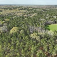 76 Acre Hunters Paradise in Fitzpatrick images 4