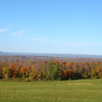 Fallview