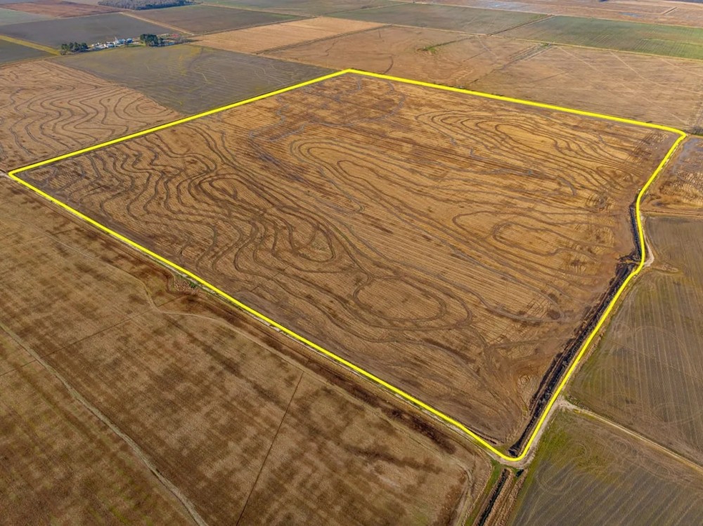 179 - Acres Row Crop Hunting Hickory Ridge Arkansas featured image