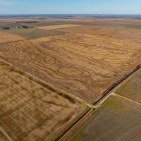 179 - Acres Row Crop Hunting Hickory Ridge Arkansas images 2