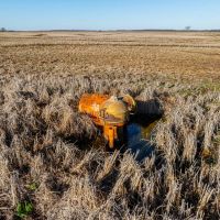 179 - Acres Row Crop Hunting Hickory Ridge Arkansas images 5