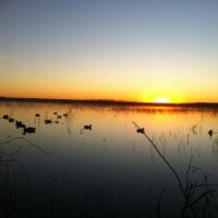 80 Acres Flooded Field and Timber