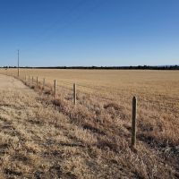 Sunny Divide Acreage images 2