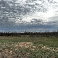 New Listing 20 Acres Tract 16 Shackelford County images 2