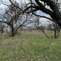New Listing 20 Acres Tract 16 Shackelford County images 4