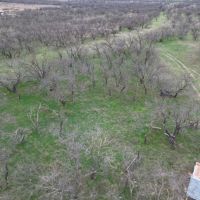 New Listing 20 Acres Tract 16 Shackelford County images 5