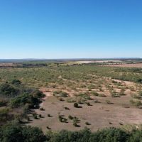 New Listing 12.5 - Acres Taylor County Tract 2 images 2
