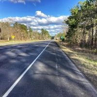 Hwy 12 Tract Calcasieu Parish 57 Acres images 2