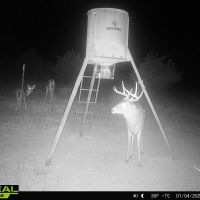 123 Acre Kansas Hunting Tract for Sale Barber County images 2