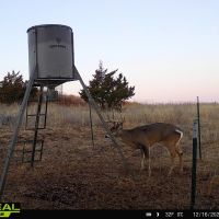123 Acre Kansas Hunting Tract for Sale Barber County images 4