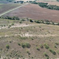 New Listing 12.5 - Acres Taylor County Tract 3 images 1