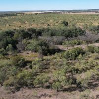New Listing 12.5 - Acres Taylor County Tract 3 images 4