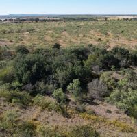 New Listing 12.5 - Acres Taylor County Tract 3 images 5