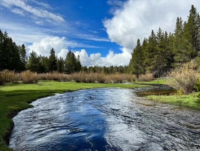 Big Hole River Ranch featured image