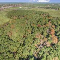 Mississippi Farm and Homestead Land For Sale images 3