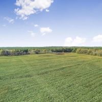 Mississippi Farm and Homestead Land For Sale images 4