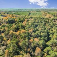 Mississippi Farm and Homestead Land For Sale images 5