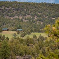 Pitcher Ranch