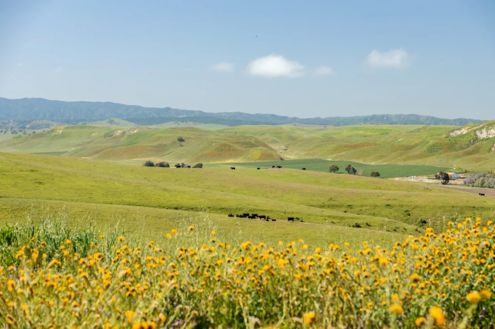 Morrison Ranch featured image
