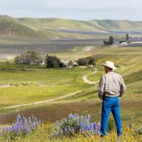 Morrison Ranch images 2