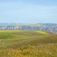 Morrison Ranch images 4