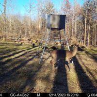 32 - Acre Deer amp Turkey