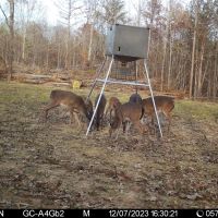32 - Acre Deer amp Turkey images 3