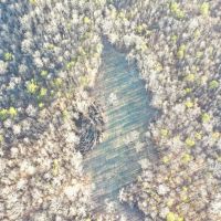 32 - Acre Deer amp Turkey images 5