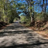 Great Timberland Hunting Tract in Southwest Mississippi