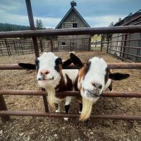 Checkpoint Ranch images 4