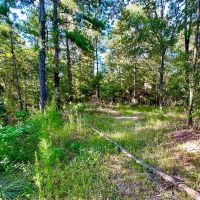 12.5 Acres US Highway 287 5B images 3